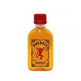 Fireball Cinnamon 0,05l 33% mini