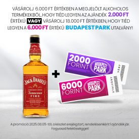 Jack Daniels Fire whiskey 1L 35% DRS