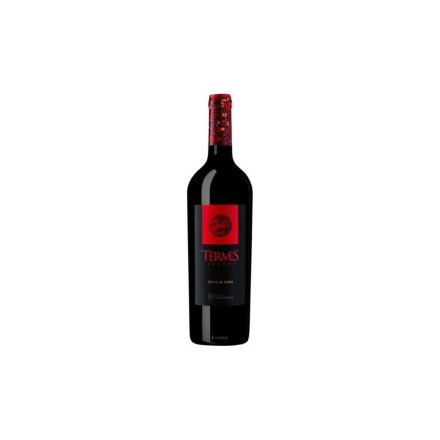 Bodega Numanthia Termes 2019 0,75l