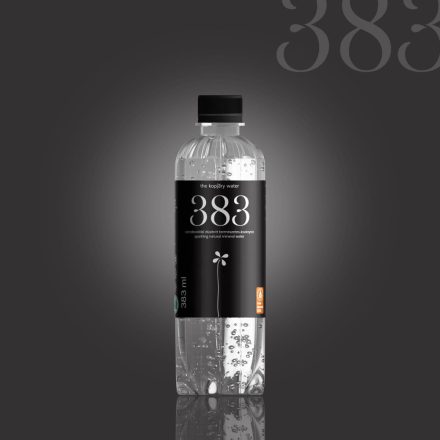 383 The Kopjary water mentes 0,383l DRS