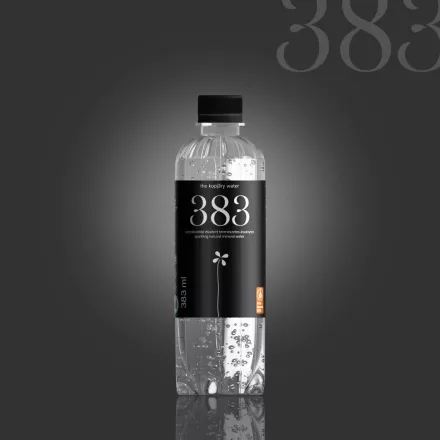 383 The Kopjary water mentes 0,383l DRS