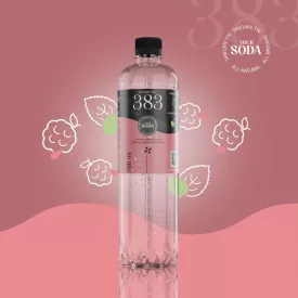 383 The Kopjary water dús málna-citromfű 0,766l DRS