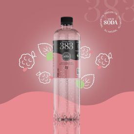 383 The Kopjary water dús málna-citromfű 0,766l DRS