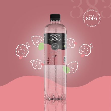 383 The Kopjary water dús málna-citromfű 0,766l DRS