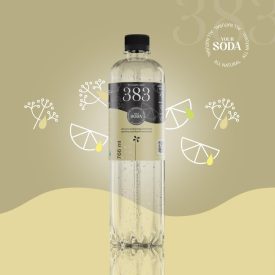 383 The Kopjary water dús bodza-citrom-lime 0,766l DRS