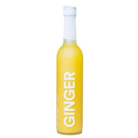 Ile Four Ginger 0,5l 14%
